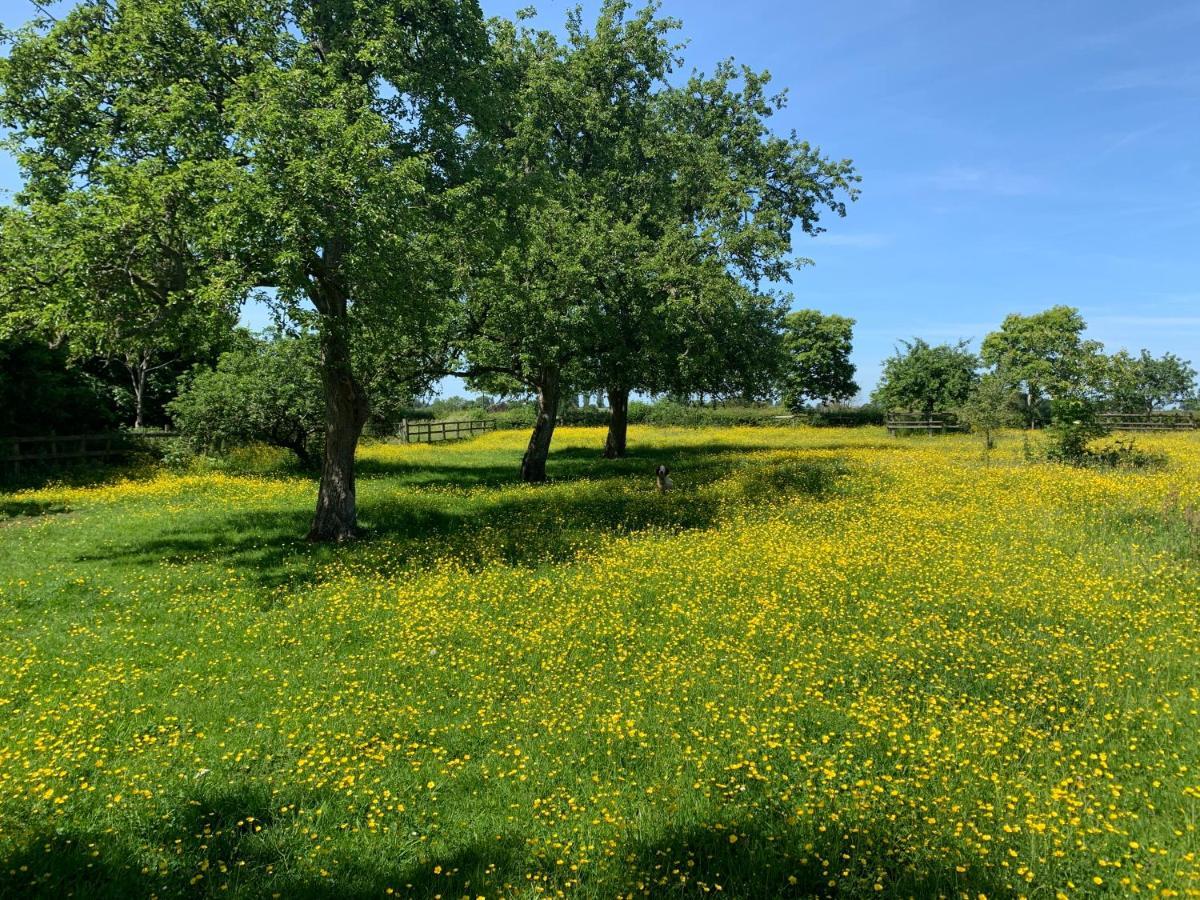 Beautiful Rural Apt, Walking Distance To Three Choirs Vineyard/Brassiere Gloucestershire Apartment Newent Bagian luar foto